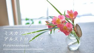 【100均DIY】蓋つき瓶を使って小花を綺麗に飾る方法