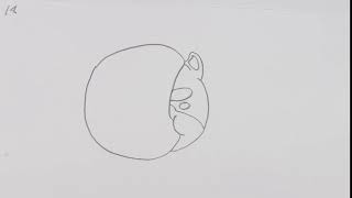 Morph Animation Experiment