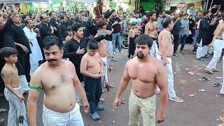 Zanjeer matam in allahabad | Allahabad Chehlum 2024-1446 | Anjuman e Abidiya #zanjeer_zani