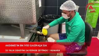 AKDENİZ’İN EN İYİSİ GAZİPAŞA’DA