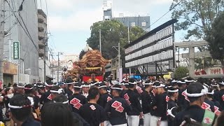 泉大津　濱八町　だんじり　宮入