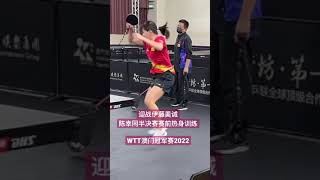 WTT澳门冠军赛2022🏓️半决赛迎战#伊藤美诚 #陈幸同 赛前热身 #chenxingtong #tabletennis #pingpong #国乒 #澳门冠军赛 #shortsfeed