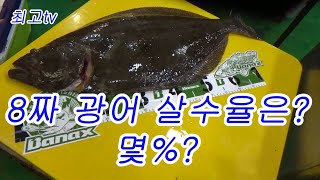 8짜 광어 회떠봤습니다