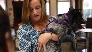 Pet-Inclusive Kit - Pasco County Disaster Preparedness