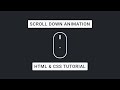 Learn How To Create A Scroll Down Animation With HTML And CSS In This FREE Tutorial!