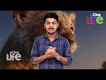 ലയണ്‍ കിങ് റിവ്യു l the lion king movie review