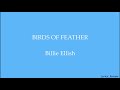 @BillieEilish - BIRDS OF A FEATHER (Lyrics)