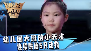 连续哄睡5只动物对她来说都是小儿科！这个小女孩是从童话里出来的吧！| 挑战不可能 Impossible Challenge