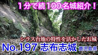 【1分で続100名城紹介】No.197　志布志（しぶし）城 #お城 #鹿児島県