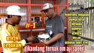 ❤️BIKIN LEDAKAN DI KANDANG TERNAK OM SULAK/AJI SPEED JALUR JUARA NASIONAL