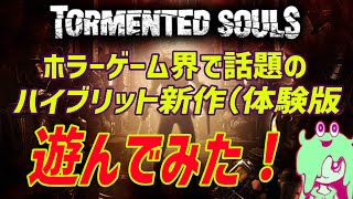 おめめisどこなのpart1[Tormented Souls]