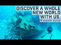 Discover a Whole new World with us at Andark Diving