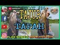 Ikan Tapah Sungai Gersik, Muar #ikantapah #tajur #tutorial #panduanmenajur