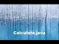 Java program Calculate.java: Command Line Parameters