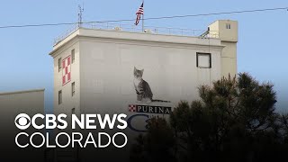 Class action lawsuit filed against Purina for foul odors