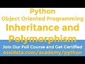 Object Oriented Programming OOP Inheritance and Polymorphism Python Tutorial