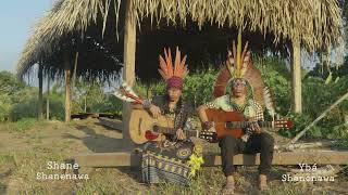 Sessão de cura  - Ybá e Shane - Povo Shanenawa - Acre