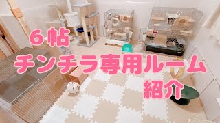 【お部屋紹介】チンチラ専用ルームをお見せします！