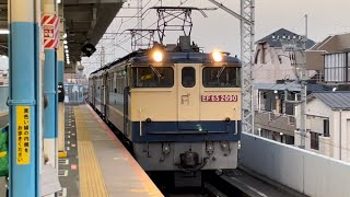 国鉄色の三重単！【EF65×2 OM出場無動回送（EF65 最終全検）】国鉄EF65形2090号機＋ムド2085＋2080号機が警笛を鳴らし北朝霞駅を通過するシーン（単8282レ）2022.3.10