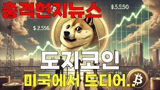 [도지코인 전망] 충격뉴스! 미국에서 결국