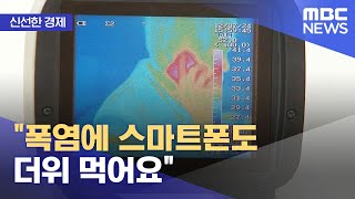 [신선한 경제] \