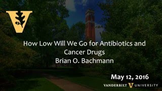 Faculty Seminar: Brian O. Bachmann