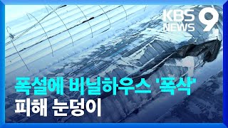 40㎝ 폭설에 비닐하우스 ‘폭삭’…피해 눈덩이 [9시뉴스] / KBS  2022.12.24.