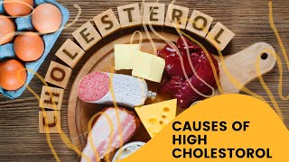 Causes of High Cholesterol: Understanding What’s Behind Elevated Levels