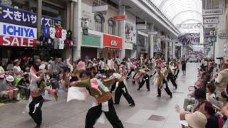 高知よさこい祭り2016　本祭一日目　よさこいサークル桜囃子　帯屋町演舞