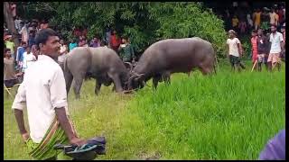 Kada ropok | Karanghati vs Amgachi cota kada | At Karanghati ground 2023 | Hansdafamilys