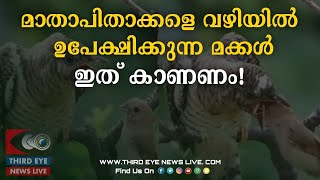 മാതാപിതാക്കളെ വഴിയിൽ ഉപേക്ഷിക്കുന്ന മക്കൾ ഇത് കാണണം!