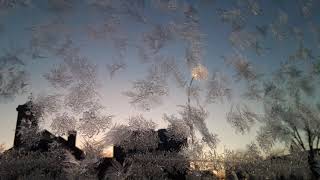 SNOWFLAKES ON THE GLASS WALL | WINTER IN REGINA, SASKATCHEWAN