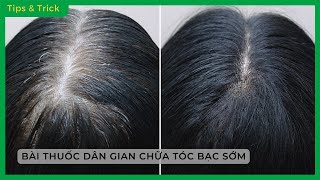 Bài thuốc TRỊ TÓC BẠC SỚM theo KINH NGHIỆM DÂN GIAN hiệu quả NGAY TẠI NHÀ - Bách hoá XANH