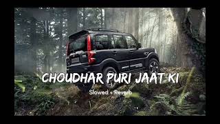 Choudhar Jaat ki [Slowed+reverb] - Raju Punjabi |