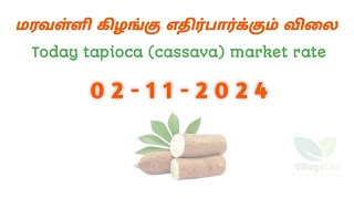 இன்றைய மரவள்ளி கிழங்கு எதிர்பார்க்கும் விலை | today tapioca point rate | 02.11.2024