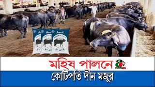 Millionaire Farmer Shares Proven Buffalo Farming Strategies | দিনমজুর থেকে কোটিপতি