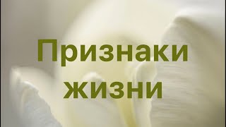 Признаки жизни