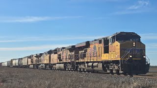 Union Pacific 5530 leads a northbound mixed freight through Hutto Texas