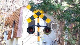 【踏切】JR只見線　廃墟へ続く道の秘境踏切 (Railroad crossing in Japan)