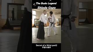 The secret of a wrist part 2 #shorts #aikido #gozoshioda #budo #塩田剛三 #合気道 #渋川剛気