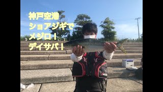 神戸空港シヨアジギでメジロに大サバ！ｆｉｓｈｉｎｇｍａｘ神戸ハーバー店