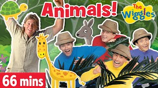 Animal Songs and Nursery Rhymes for Kids | The Wiggles | Old MacDonald / I'm A Cow / Bingo and more!