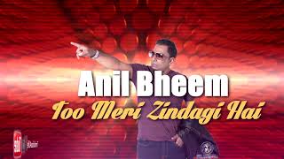 Anil Bheem - Too Meri Zindagi Hai