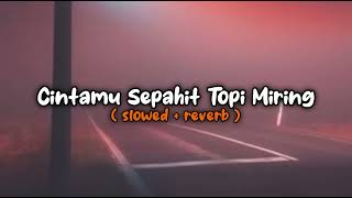 dadi petrukk - Cintamu Sepahit Topi Miring || slowed + reverb #love