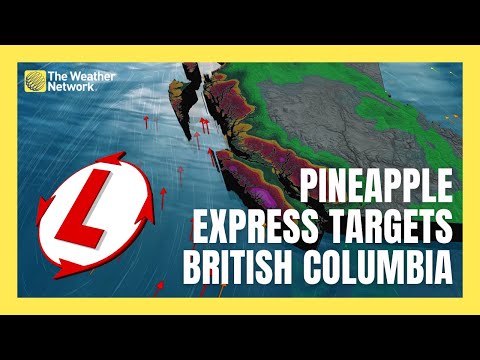 Pineapple Express Delivers Soaking Rains to B.C., Elevates Flood & Avalanche Risk