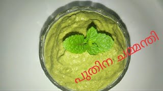 പുതിനയില ചമ്മന്തി ഇങ്ങനെ ഉണ്ടാക്കി നോക്കൂ///Easy Mintleaf Chutney