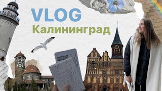 влог из Калиниграда // путешествие одной // Балтийское море / Зеленоградск и Светлогорск✈️🗺️✨