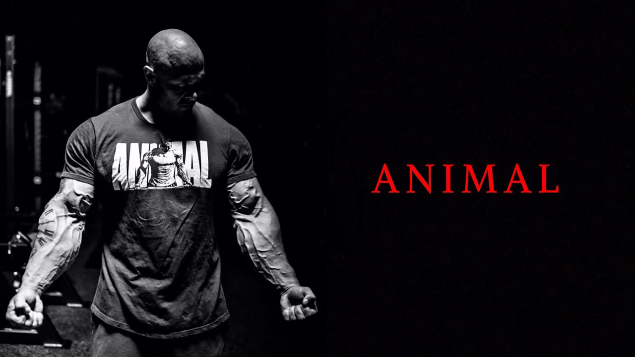 Animal Hd Bodybuilding Motivation Youtube