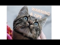 Warnings to Protect yourself and your cat from worms 🐛🐛🐛 Warnings to Protect yourself and your cat from worms 🐛🐛🐛