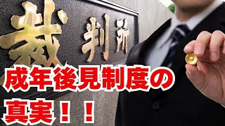 【削除覚悟】成年後見制度の真実とは？早めに見てください。削除されるかも